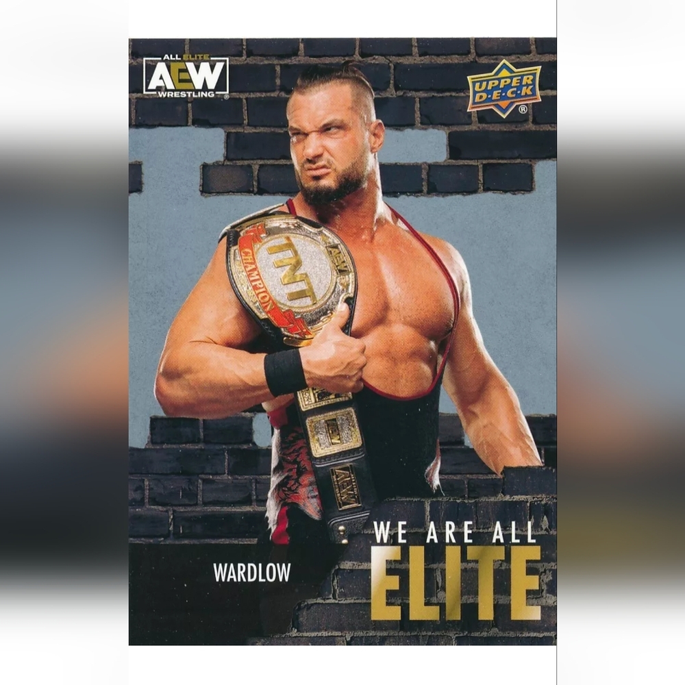 Wardlow 🔥 AEW Wrestling Trading Card 🏆 AEW Champion